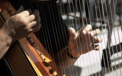 Harpist