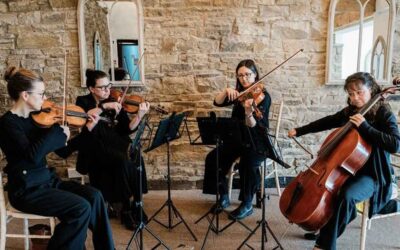String Quartet/Trio